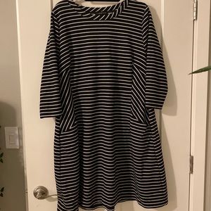 Lane Bryant Dress